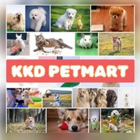 ของขายดี.PetShop