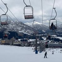 中興華廈鄰居群（278.280）