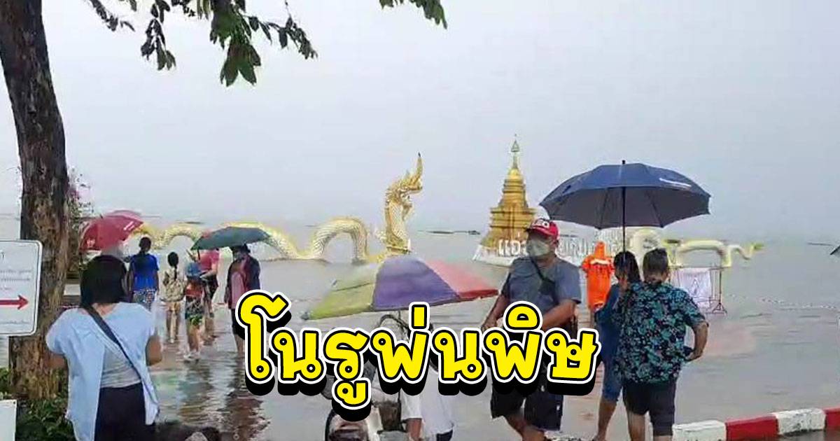 ตรวจหวย1กันยายน2566 ไทยรัฐ