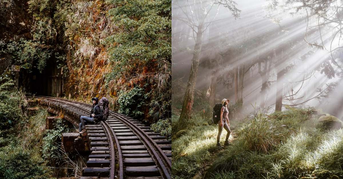 登山路線推薦五大「森林探險路線」！除了嘉明湖，登山客搶登的阿里山「眠月線」也正夯！-0