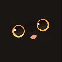 พรีออเดอร์ของน้องแมว🧶🐱blackcats