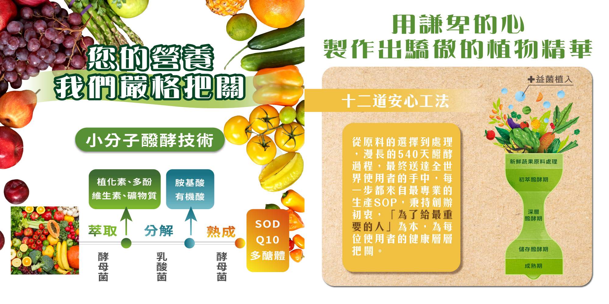 酵素好不好，發酵方式決定一切！