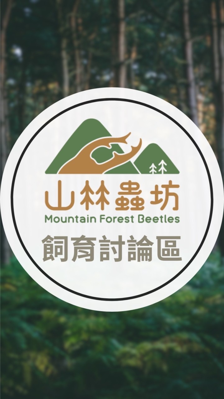 【山林蟲坊】 MFbeetles 飼育討論區