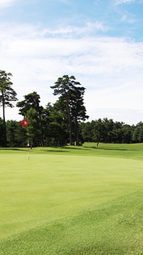 Salvia_golf