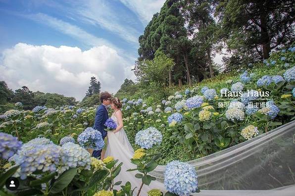 圖片來源：IG @haus_haus_studio