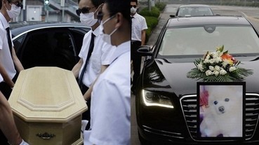 富豪愛犬過世...「4 人抬棺、奧迪當靈車」葬禮超級豪華！