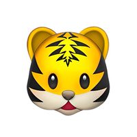 2026虎航報到群🐯
