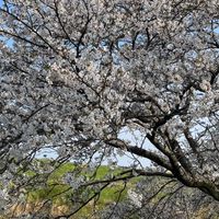 愛知岐阜　40代50代で平日の夜　土日に暇してる方来て来て〜