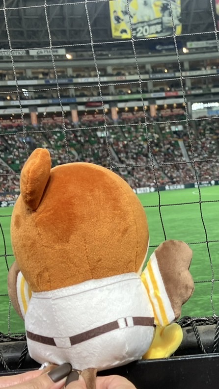 あつまれ！ホークスファンの森🌳