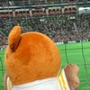 あつまれ！ホークスファンの森🌳