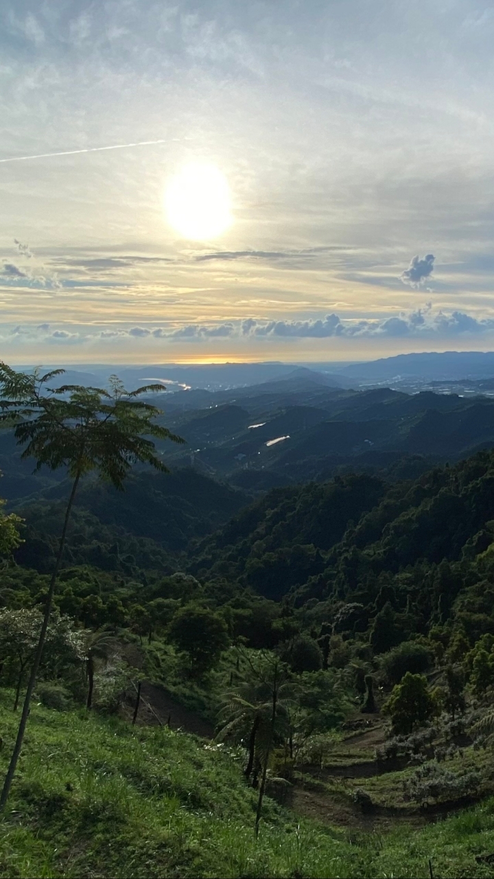 逆風柔舞的翱翔者-Life Posture製造所🔆365+生活圈