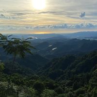 逆風柔舞的翱翔者-Life Posture製造所🔆365+生活圈