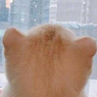 群組改社群