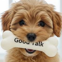 股頭 Goodtalk