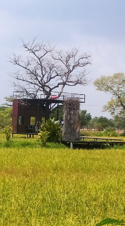 รูปภาพ โคก หนอง นา
