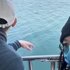 交往與婚家