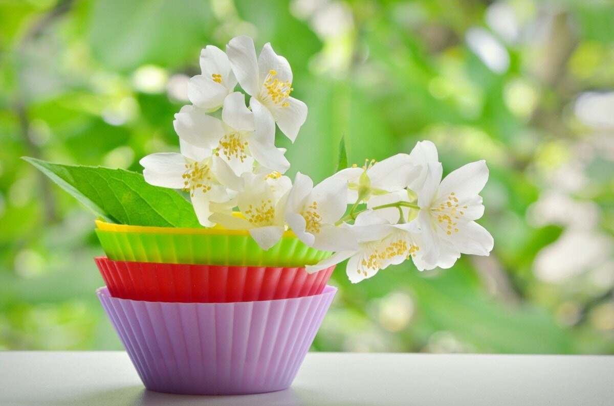 花 の漢字を使った名前 おすすめはこれ 先輩ママの声 ママリ Mamari