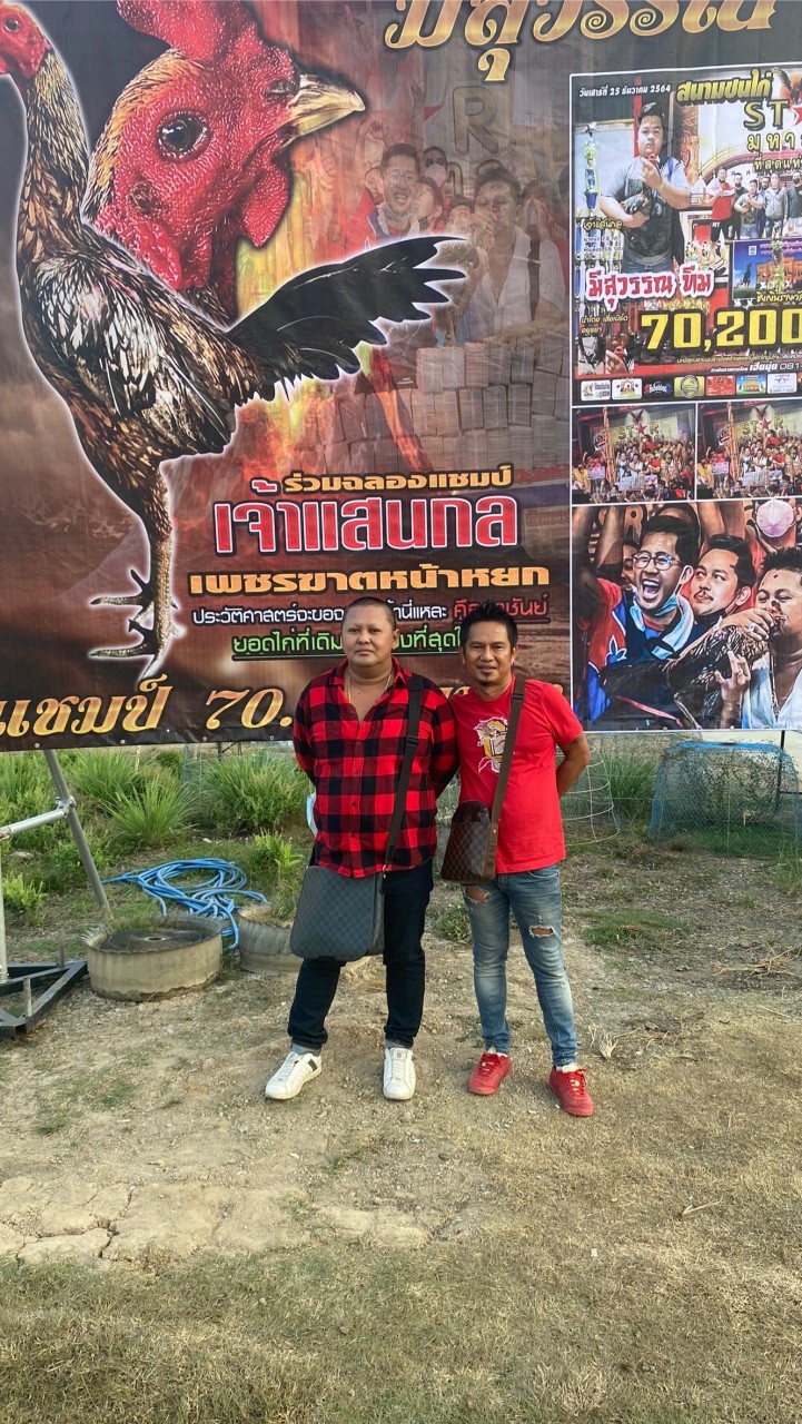กลุ่มสำหรับประมูลยอดไก่สายเลือดเงินล้าน ส.มีสุวรรณ