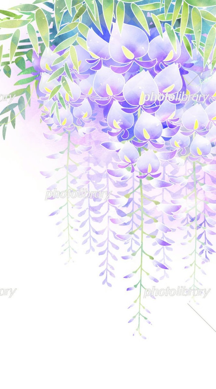 Temu_SHEIN_TikTokLite相互