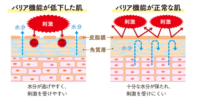 ゴシゴシ洗いはng 医師が教える 洗顔 洗髪方法 毎日が発見