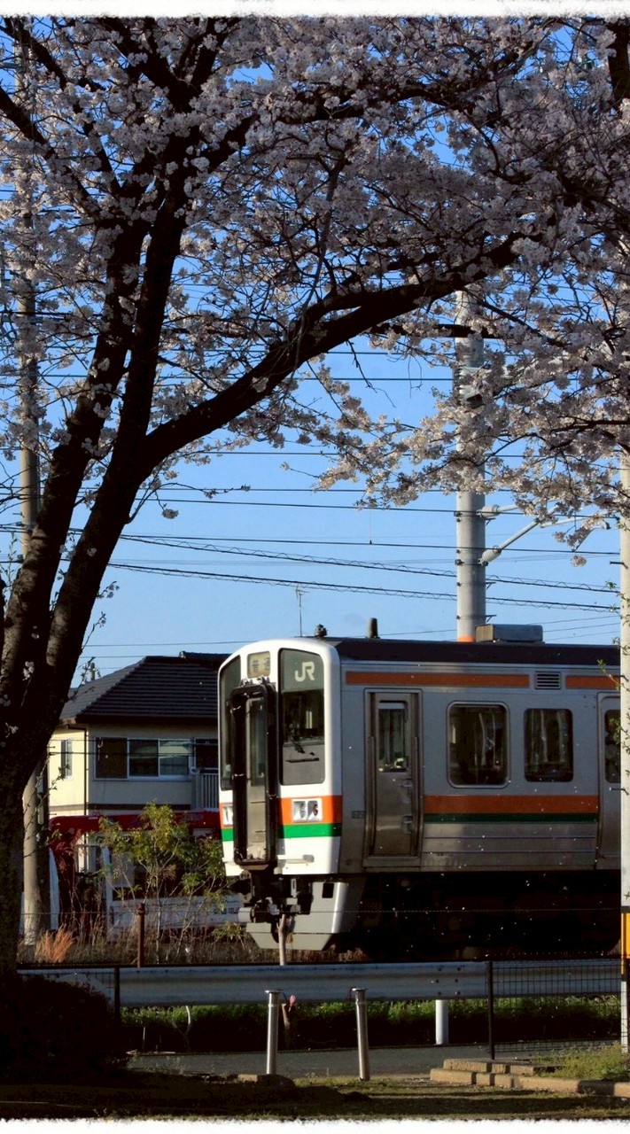 [SNG]東海の電車好きあつまれーーー