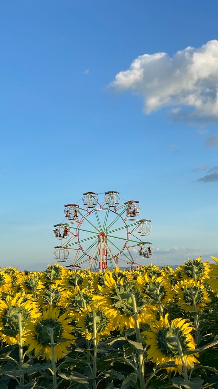 ผู้ปกครอง ม.1/3 ปี 69