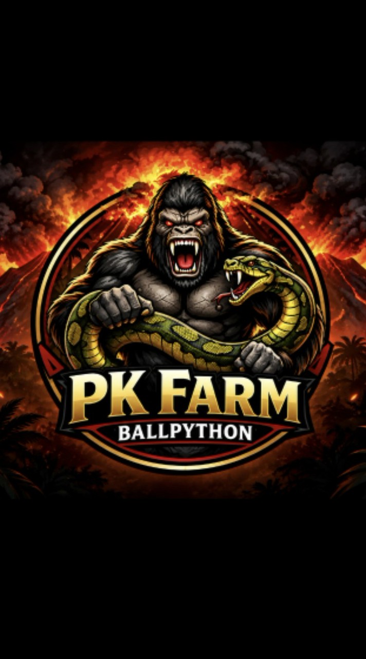PK Fram Ballpython
