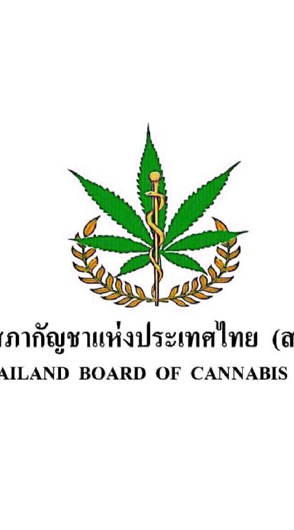 🇹🇭สภากัญชา🇹🇭กำแพงเพชร2562