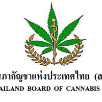 🇹🇭สภากัญชา🇹🇭กำแพงเพชร2562