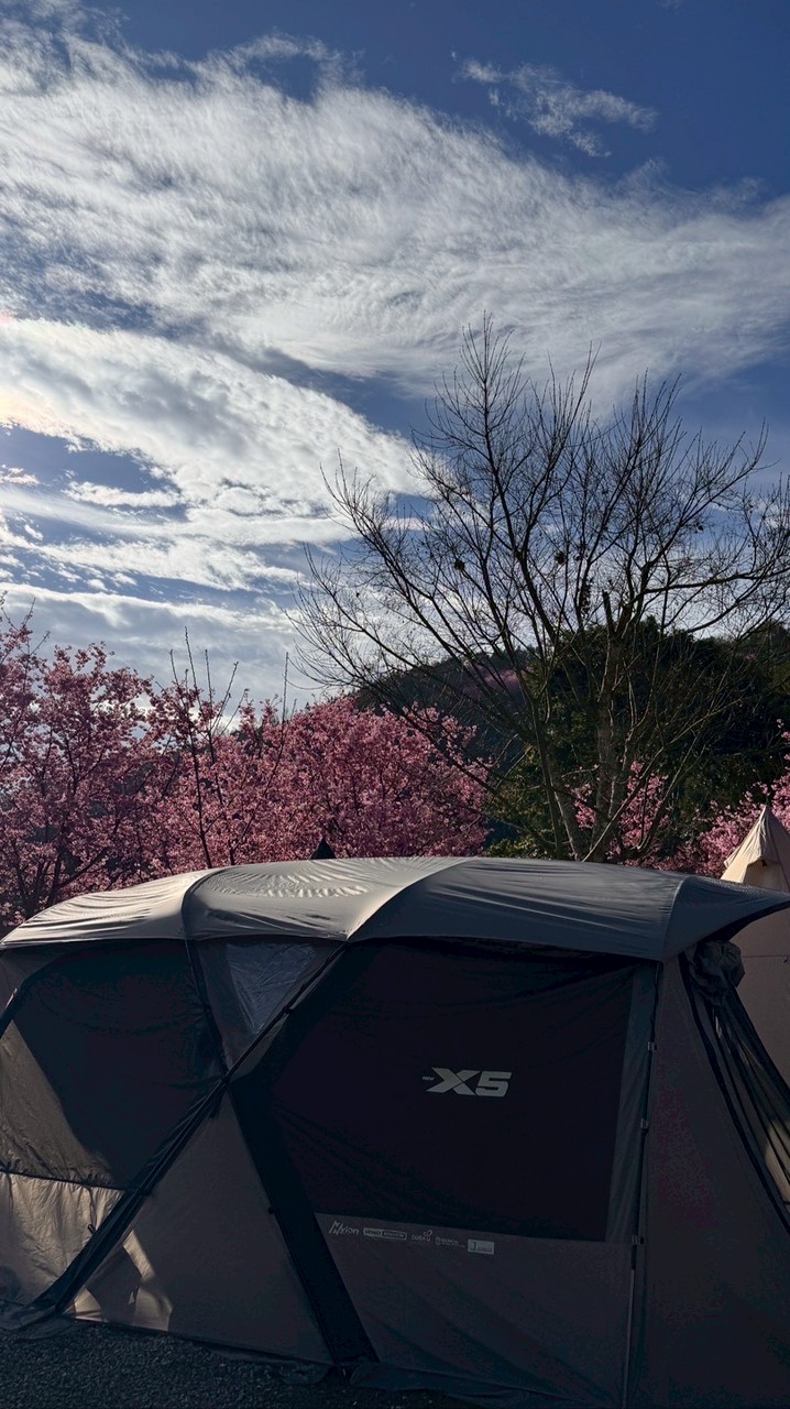 solo camp group