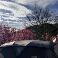 solo camp group