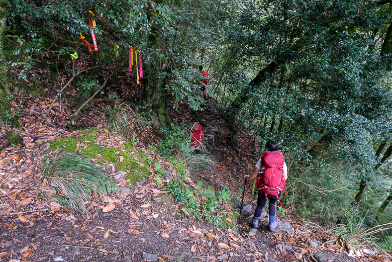 山女孩Melissa_大霸群峰三天兩夜_大霸尖山小霸尖山_登山心得-0334.jpg