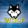 【WOLFGOLD】FX自動売買サロン