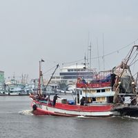 Bstar Seafood