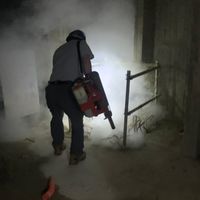 消毒除蟲 免費咨詢