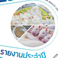 TFG Fresh Market