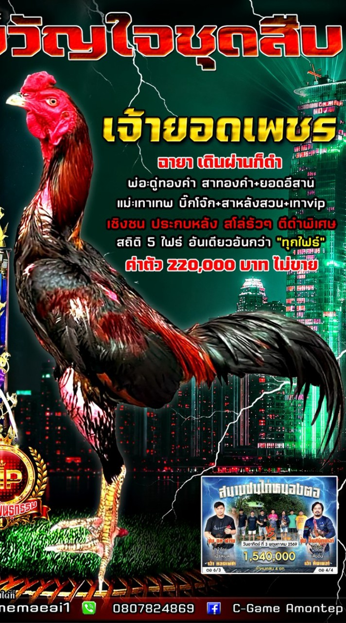 ซุ้มขวัญใจชุดสืบ ป่าก๋อยพัฒนา🐓
