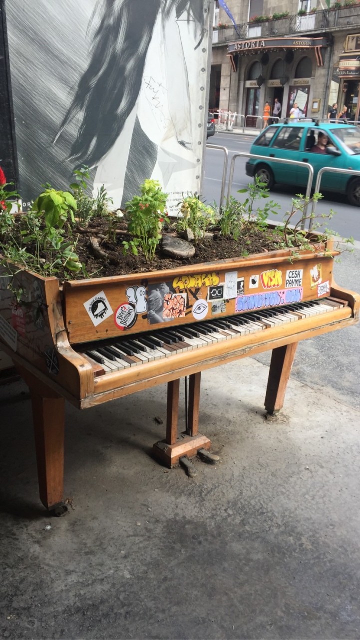 佳佳老師古典音樂分享園地