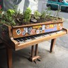 佳佳老師古典音樂分享園地