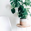 せきねあかねの🌿人生を整える薬膳サロン