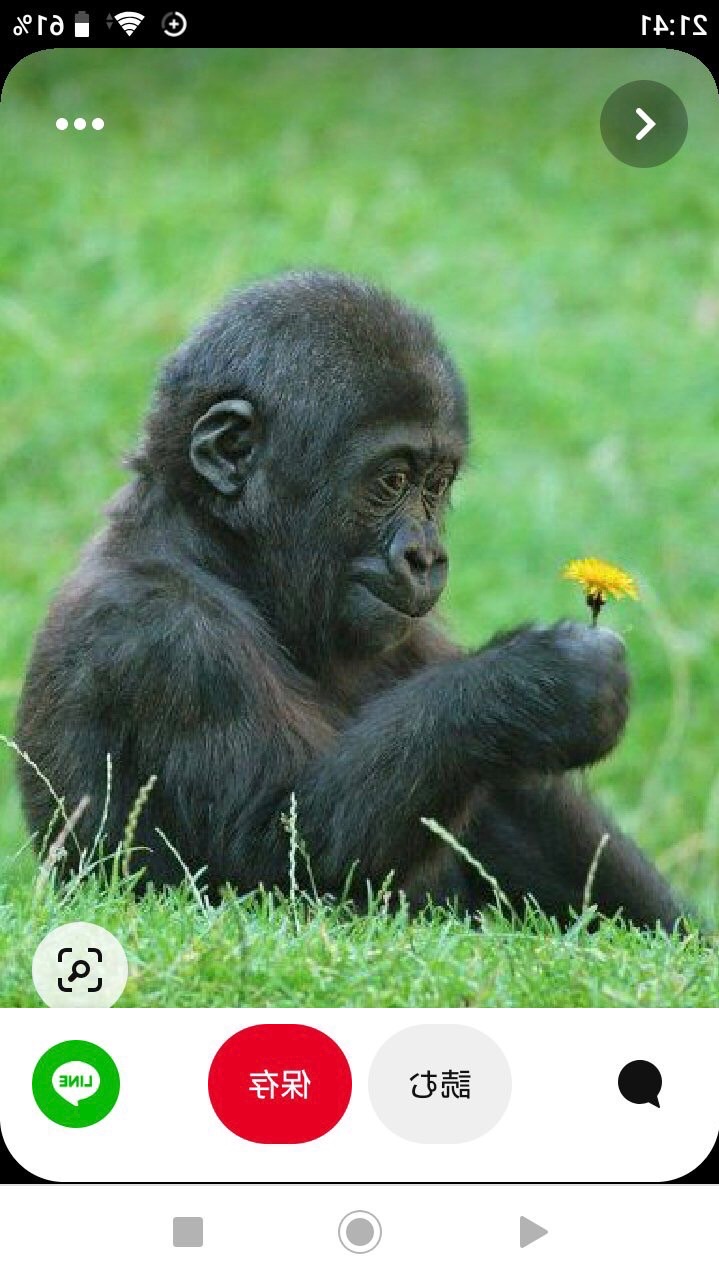 謀りの姫-アイコン芸人の集い-