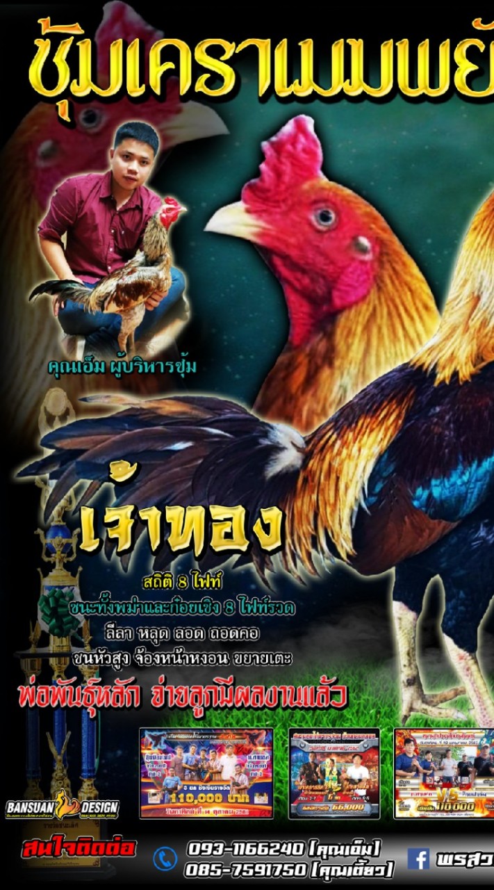 เคราเมฆพยัคฆ์  เจ้าทอง8เที่ยว-เจ้าทัพคีรี