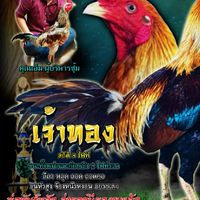 เคราเมฆพยัคฆ์  เจ้าทอง8เที่ยว-เจ้าทัพคีรี