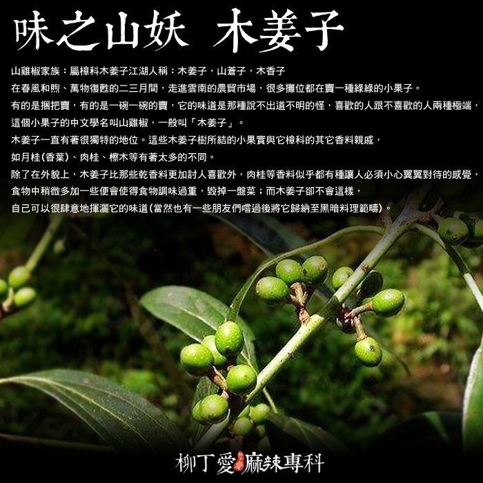 柳丁愛☆ㄠ麻子 木姜油 山椒油250ML【A616】黔菜必備 大紅袍花椒 青花椒 川菜 藤椒油 酸辣粉 螺螄粉 小肥羊