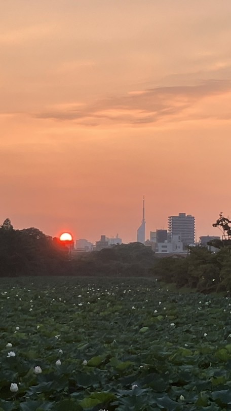 【学生限定‼️】雑談、恋バナ、ライトしよ‼️