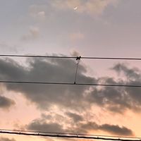 ガチで恋バナします
