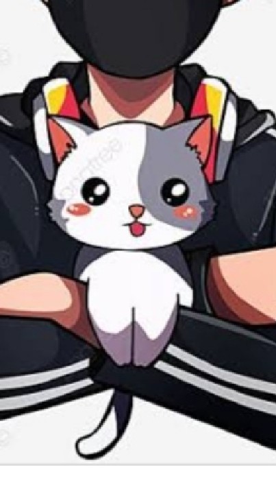 น้องแมว