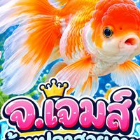 จ.เจมส์บ้านปลาสวยงาม