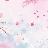 芸能人と恋してみない？