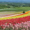 60代以上老後の楽しみ学習会
